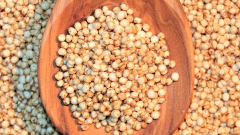 Quinoa grains on a wooden spoon with dark lentils around it